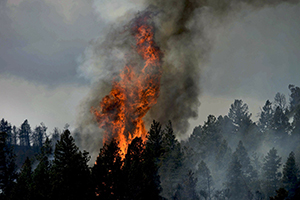 Colorado Fire